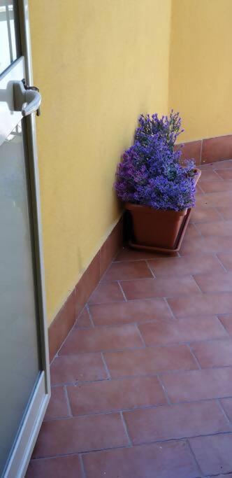 Borgo San Giorgio Apartment Castelmola Extérieur photo